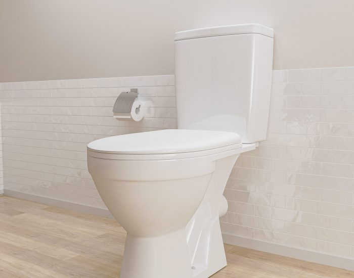 New toilet bowl, 3d rendering